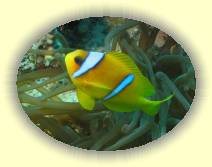 IMG_2007_05_28 14_09_48 * 2272 x 1704 * (366KB)